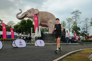 BIB: 
                            <button type="button" onclick="openModal(26528576)" class="btn btn-primary btn-sm float-right btn-popup" data-toggle="modal" data-target=".modal-high-quality">
                        <i class="fas fa-shopping-cart"></i> Add to Cart
                    </button>
                                            <button type="button" onclick="isThisMe(26528576, true)" class="btn btn-success btn-sm float-right btn-popup btn-isme hidden" data-toggle="tooltip" data-placement="bottom" title="นี่คือรูปของคุณใช่ไหม คลิกที่นี่เพื่อเอาเข้าอัลบั้ม">
                        <i class="fas fa-plus"></i> Add to album
                    </button>
                    <button type="button" onclick="isThisMe(26528576, false)" class="btn btn-warning btn-sm float-right btn-popup btn-isnotme hidden">
                        <i class="fas fa-ban"></i> Remove from album
                    </button>